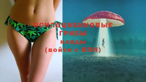 гашик Абаза