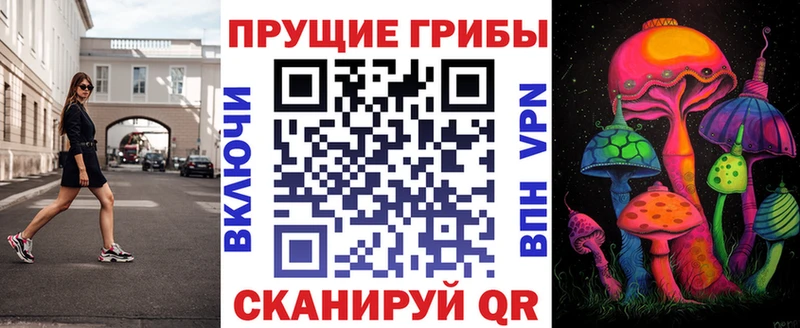 магазин продажи   Ковров  Галлюциногенные грибы Cubensis 